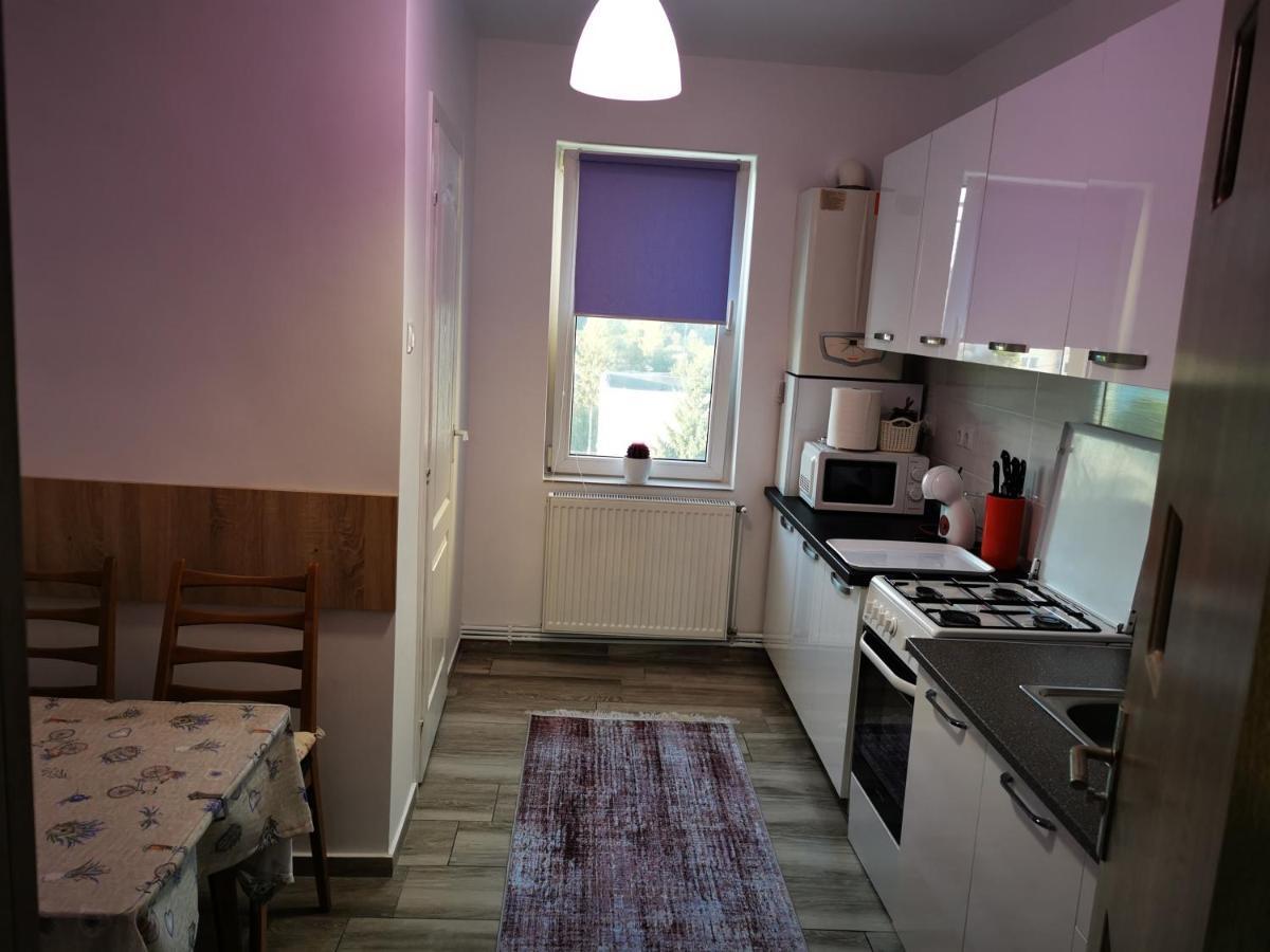 Violet Residence Targu Mures Exterior photo
